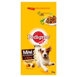 PEDIGREE MAŁE RASY Adt kurcz, warz 2kg [377374]
