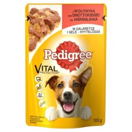 PEDIGREE wołowina w galaretce 100g [167236]