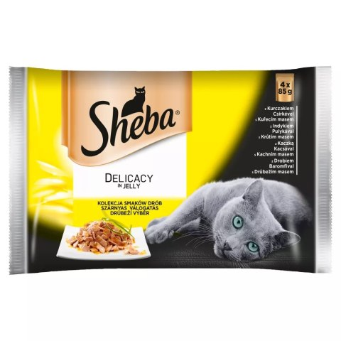 SHEBA Drob. Dania BOGOF 4x85g 1+1 gratis [389605]