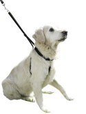 KERBL Uprząż Maxi Leader, 25 - 30 cm [83720]