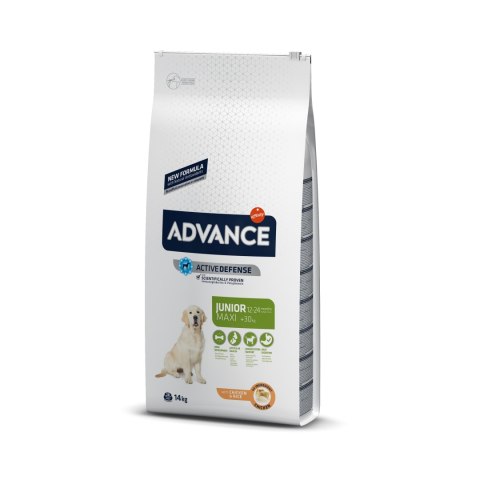 ADVANCE Maxi Junior - sucha karma dla młodych psów ras dużych 14kg [923540]