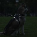 PETLOVE Szelki pojedyncze LED dla psa L czarne [SZELLEDZLBK]