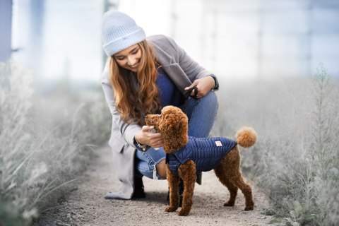 CHABA Kurtka NAIROBI 4 - navy blue (niebieska)