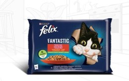 FELIX FANTASTIC Wiejskie smaki kurczak z pomidorami i wołowina z marchewką, saszetki dla kota w galarecie (4x85g)