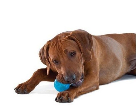 PETSTAGES Orka Ball - Piłka dla psa, niebiesko-mleczna [PS68499]